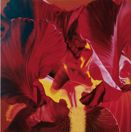 Iris I